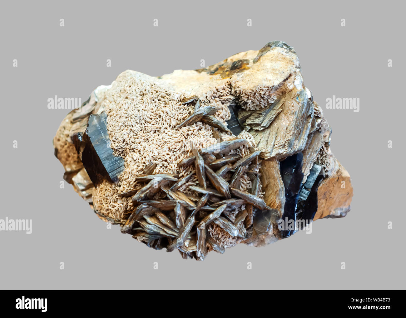 mineralogical specimen conglomerate of morion crystals, feldspar and mica isolated on gray background Stock Photo