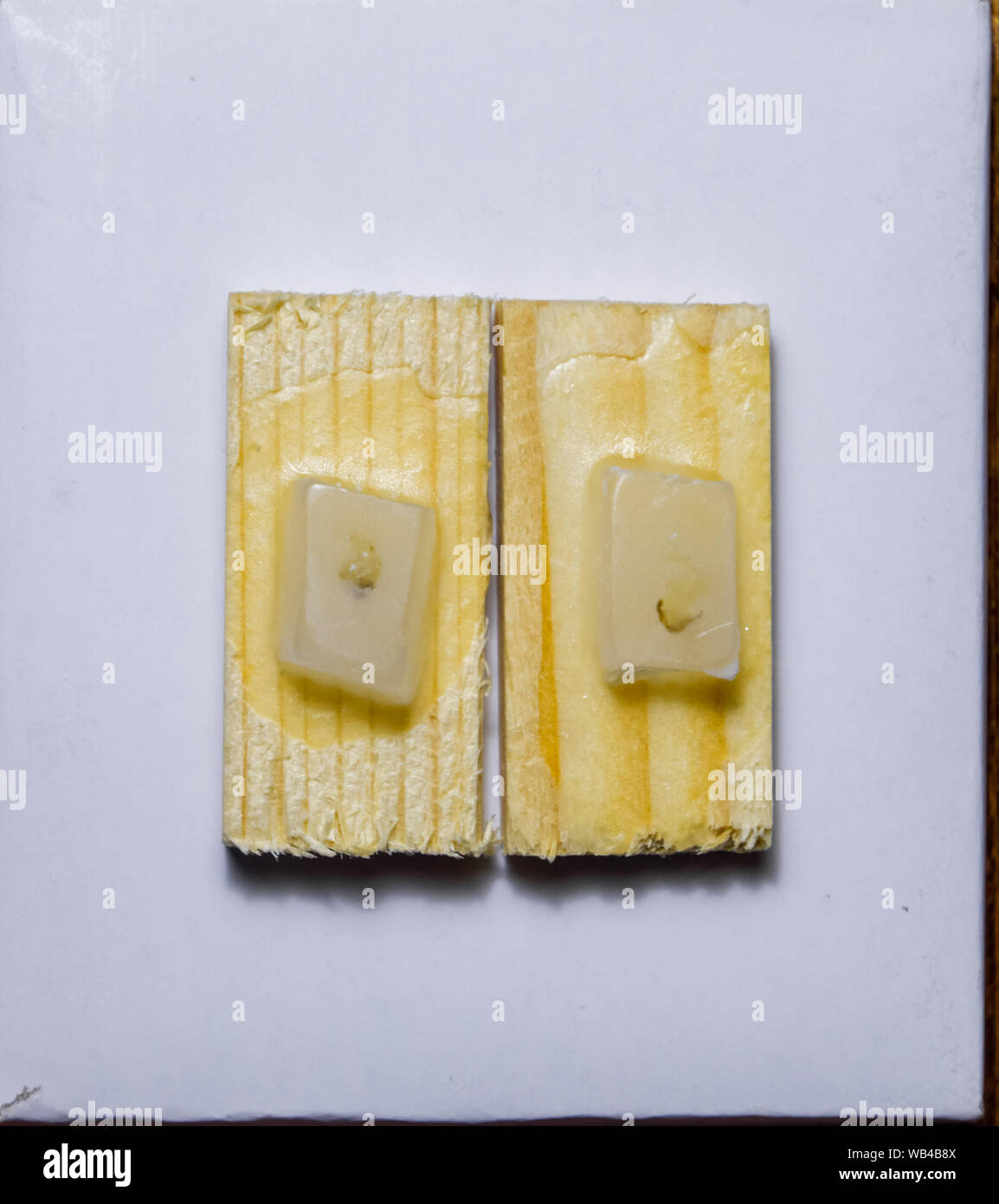 Paraffin blocks with cancer samples, samples for histological