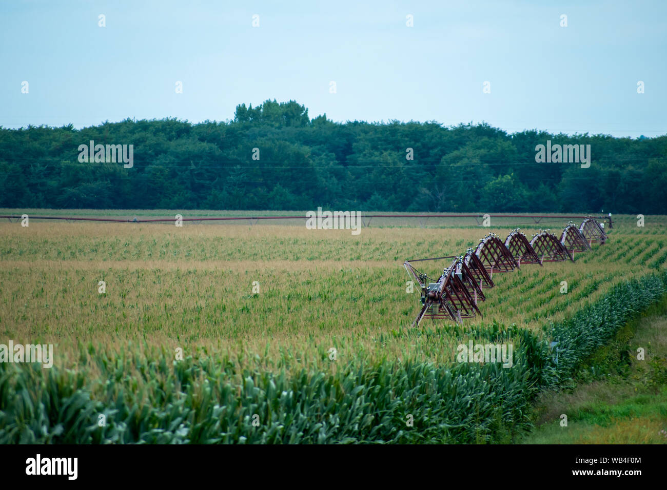 Pivots in  a Nebraska cornfield Stock Photo