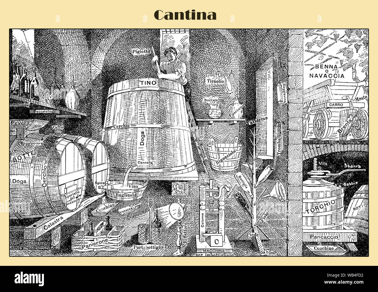 Italian wine cellar with row of barrels, press and bottles, illustrated