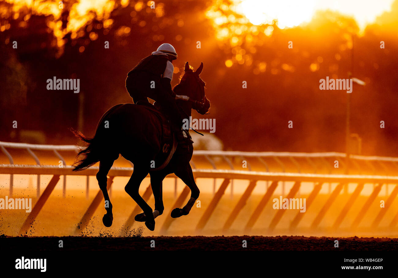 August 24, 2019, Saratoga Springs, NY, USA: August 24, 2019 : Horses