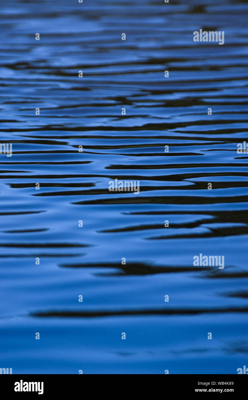 Ripples on the surface of blue water Stock Photo - Alamy