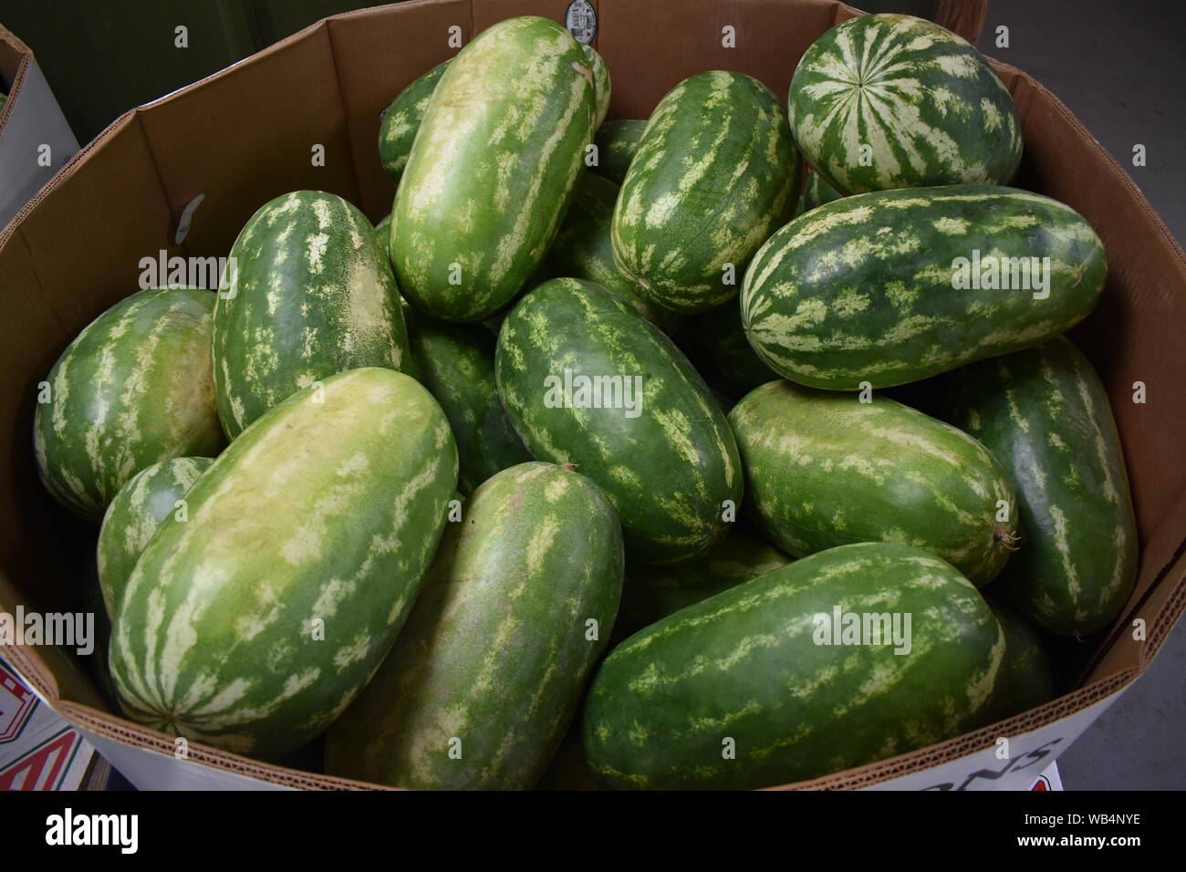 Beltsville hires stock photography and images Alamy