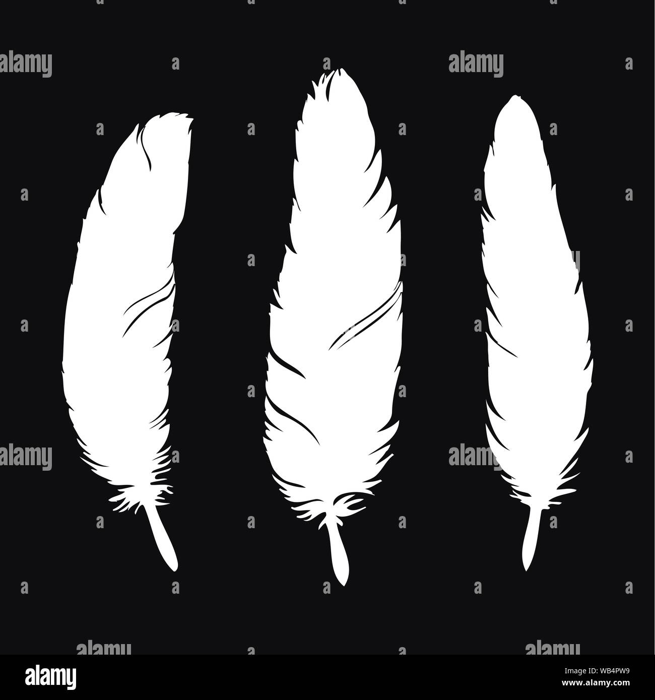 White feathers silhouette isolated on black background. Feather set