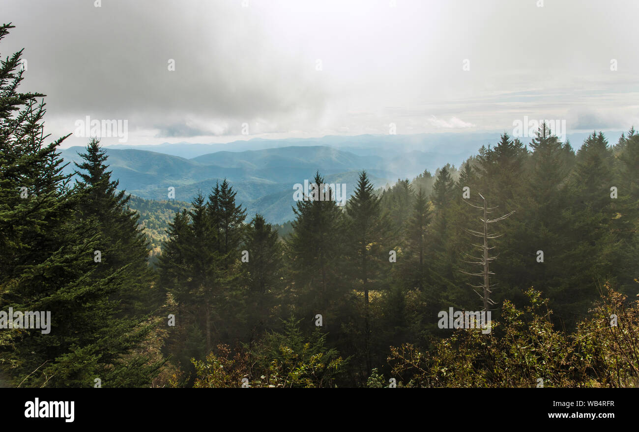 Richland Balsam Overlook on a foggy day on the Blue Ridge Parkway, NC, USA Stock Photo