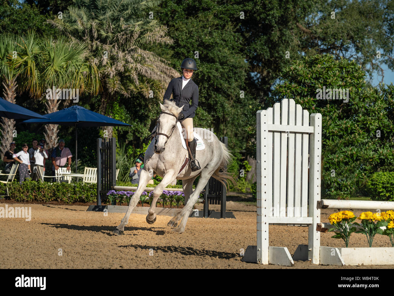 A young equestrian is competing in a horse show in Florida Stock Photo