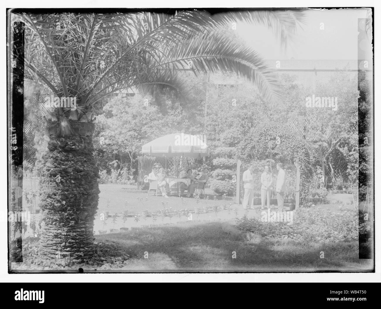 Egypt. Cairo. Hotels. Continental Savoy. A garden group Abstract/medium: G. Eric and Edith Matson Photograph Collection Stock Photo