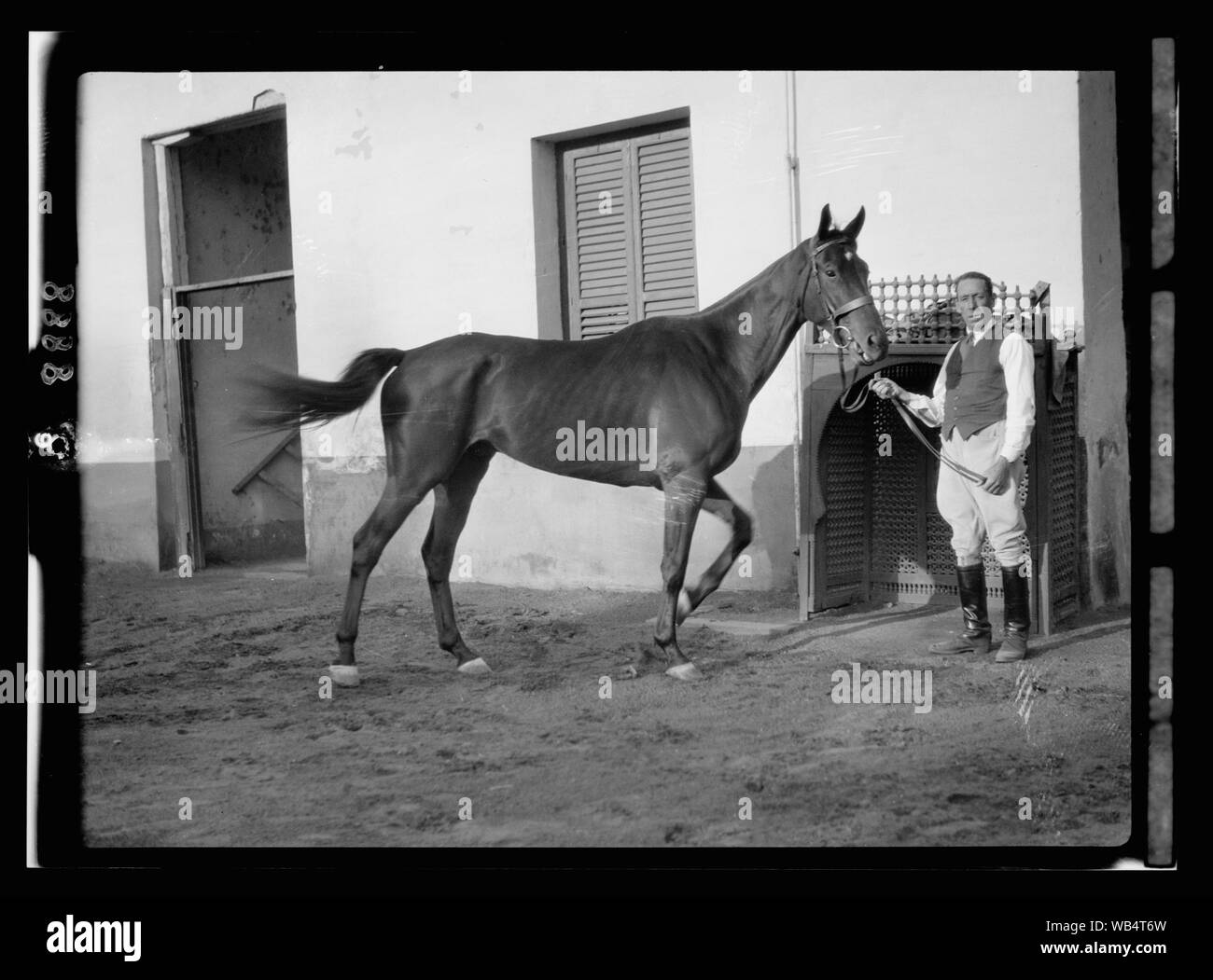 Egypt. Cairo. Hotels. Mena House. Riding horse at the stables Abstract/medium: G. Eric and Edith Matson Photograph Collection Stock Photo