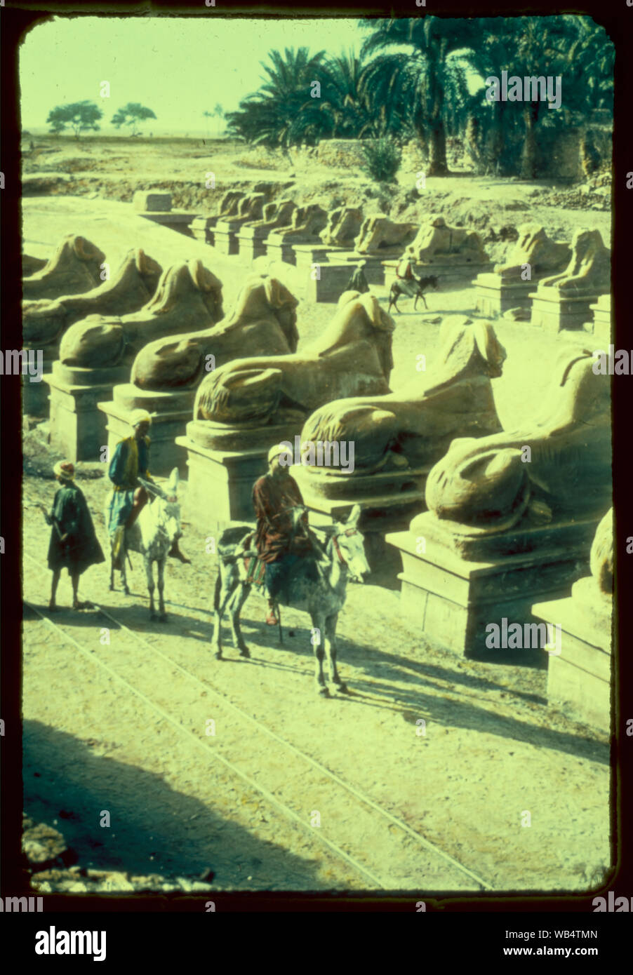 Egypt. Karnak. Row of Sphinxes in front of 1st pylon Abstract/medium: G. Eric and Edith Matson Photograph Collection Stock Photo