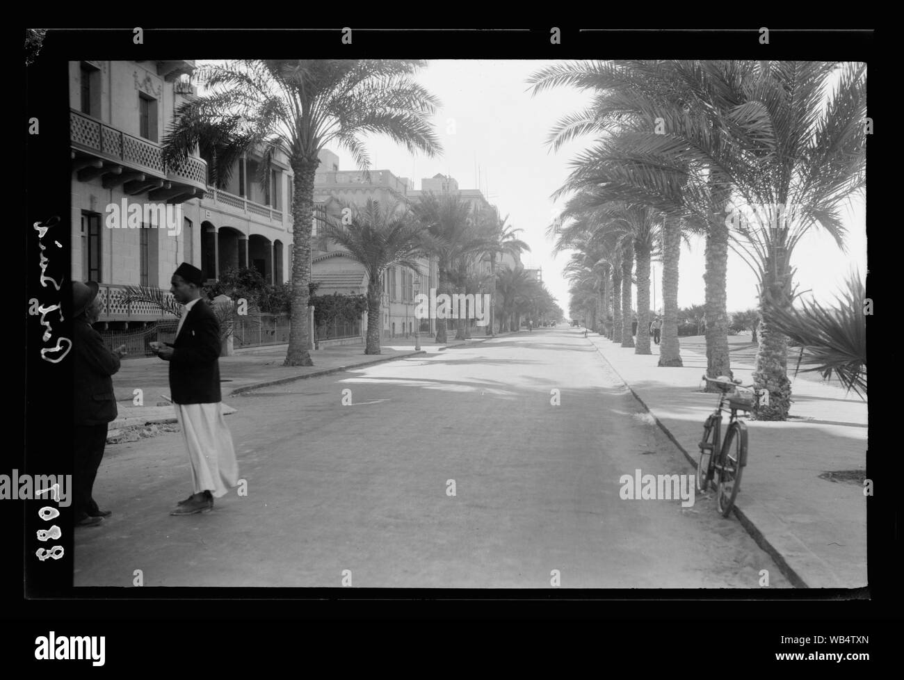 Egypt. Port Said. Avenue of Palms along north sea front Abstract/medium: G. Eric and Edith Matson Photograph Collection Stock Photo