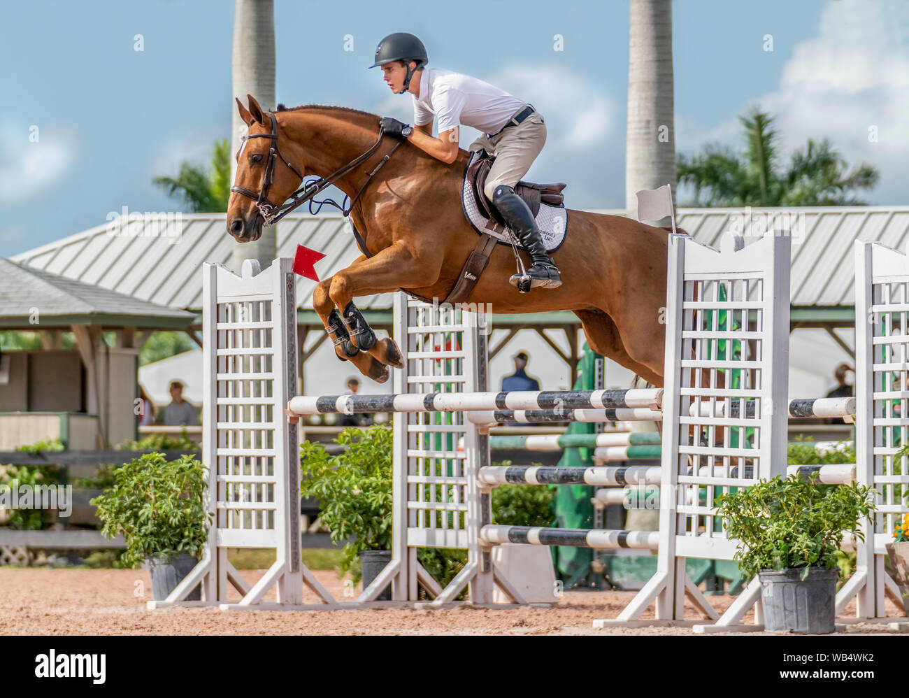 Rider and horse jumping over fences at a horse show outside Stock Photo