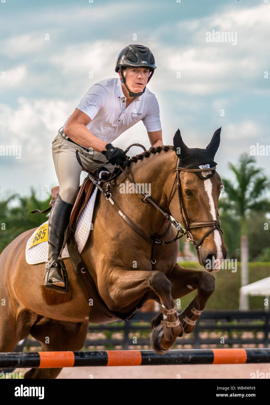 Rider and horse jumping over fences at a horse show outside Stock Photo ...