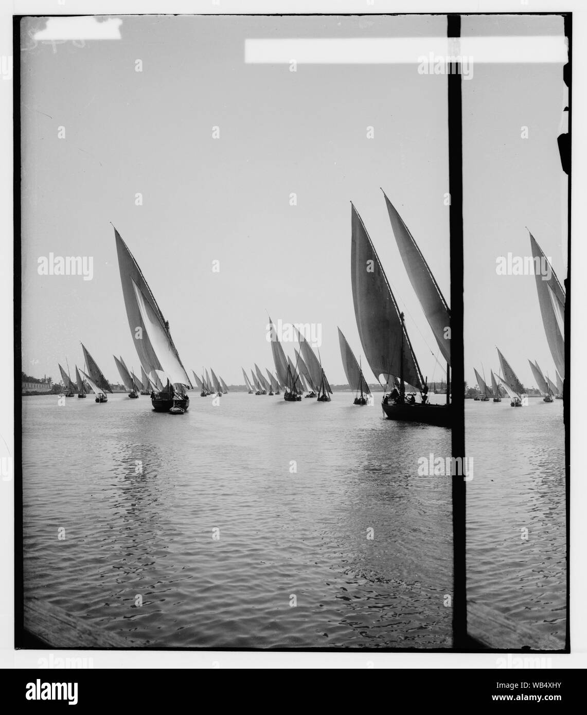 Egyptian views; Cairo (Masr). Fleet of native boats of the Nile Abstract/medium: G. Eric and Edith Matson Photograph Collection Stock Photo