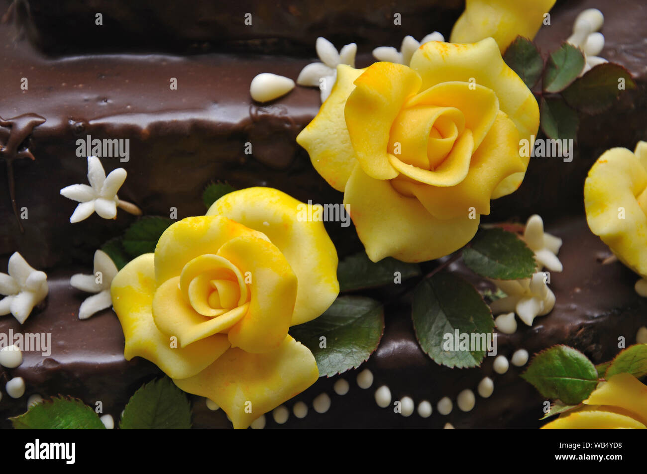 detail of icing sugar decorations on a chocolate cake Stock Photo ...
