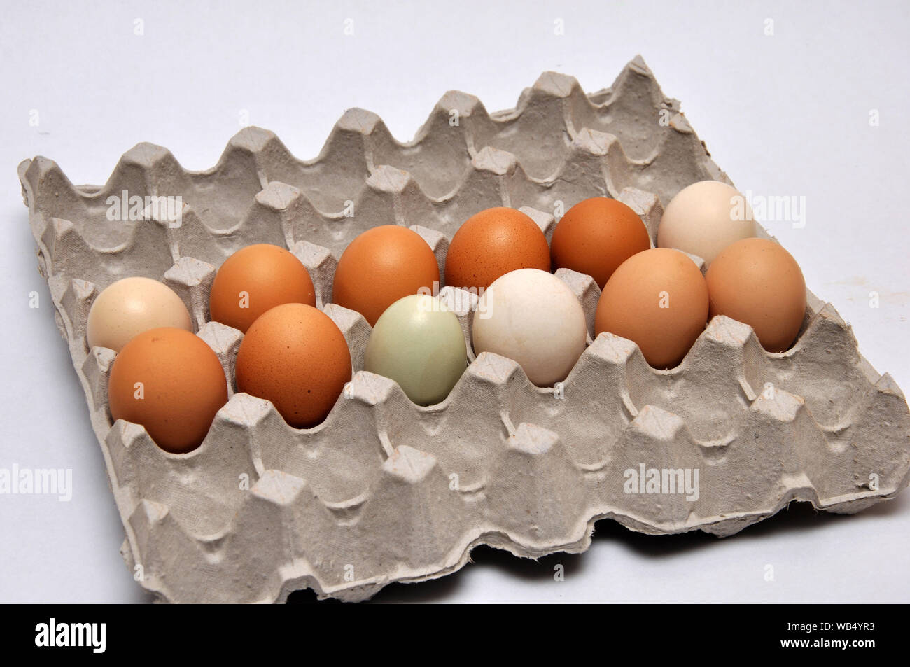 a dozen fresh farm eggs on a seamless background Stock Photo