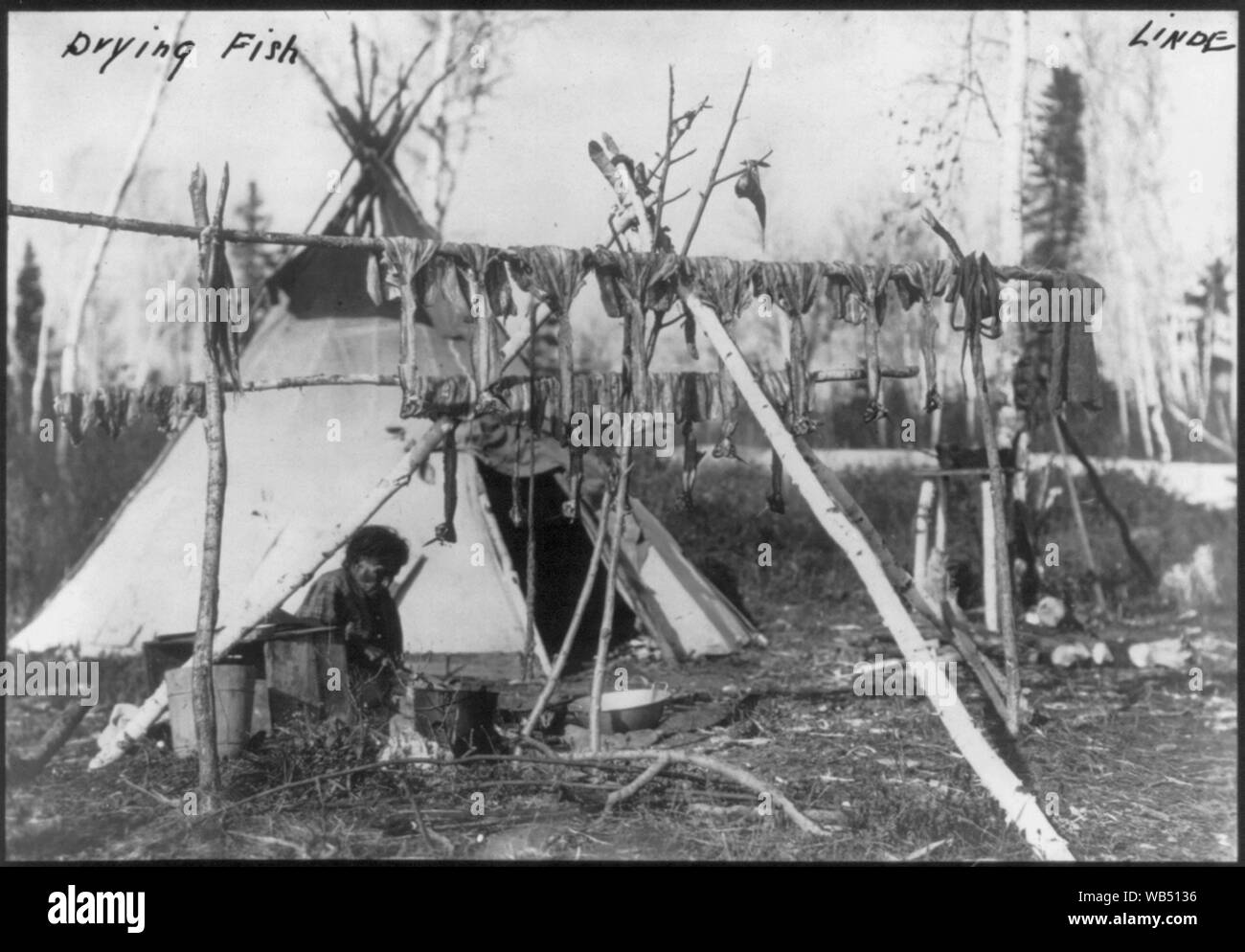 Elderly Indian woman outside teepee, with fish drying on poles in foreground Abstract/medium: 1 photographic print. Stock Photo