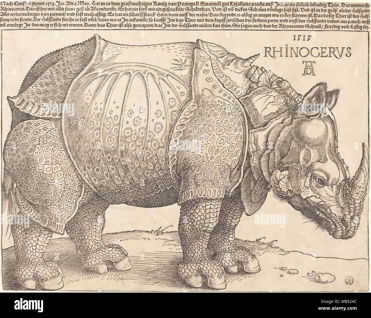 Albrecht Dürer - The Rhinoceros (NGA 1964.8.697). Stock Photo
