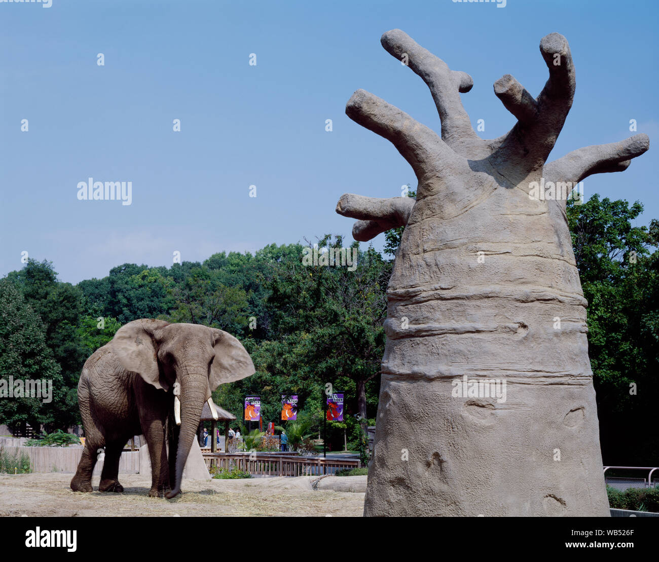 Elephant, Milwaukee Zoo, Milwaukee, Wisconsin Stock Photo Alamy