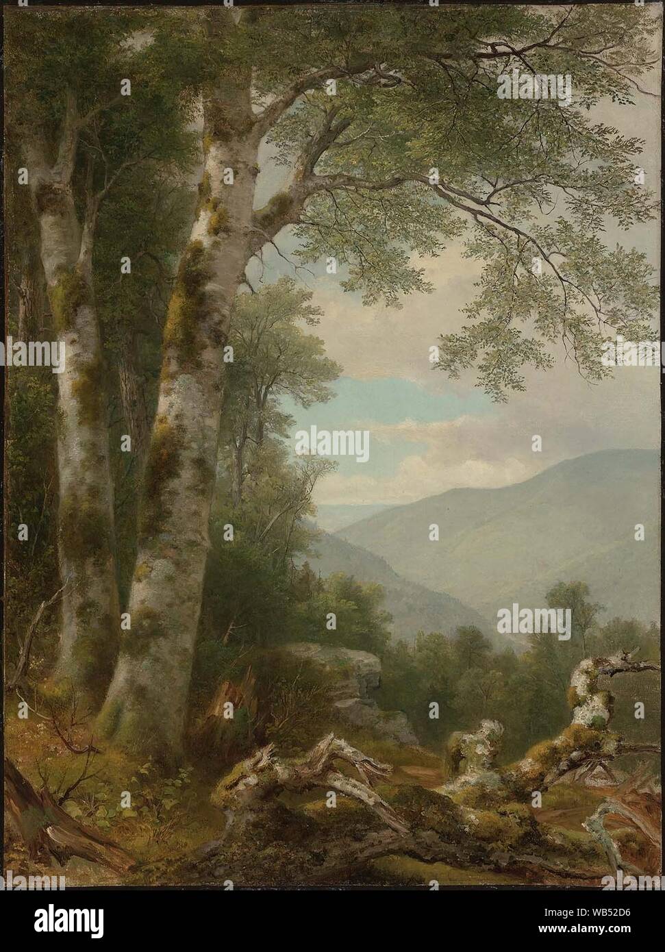 Asher Brown Durand - Landscape with Birches Stock Photo