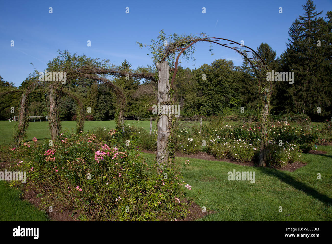 Elizabeth Park Rose Garden in Hartford, Connecticut Stock Photo