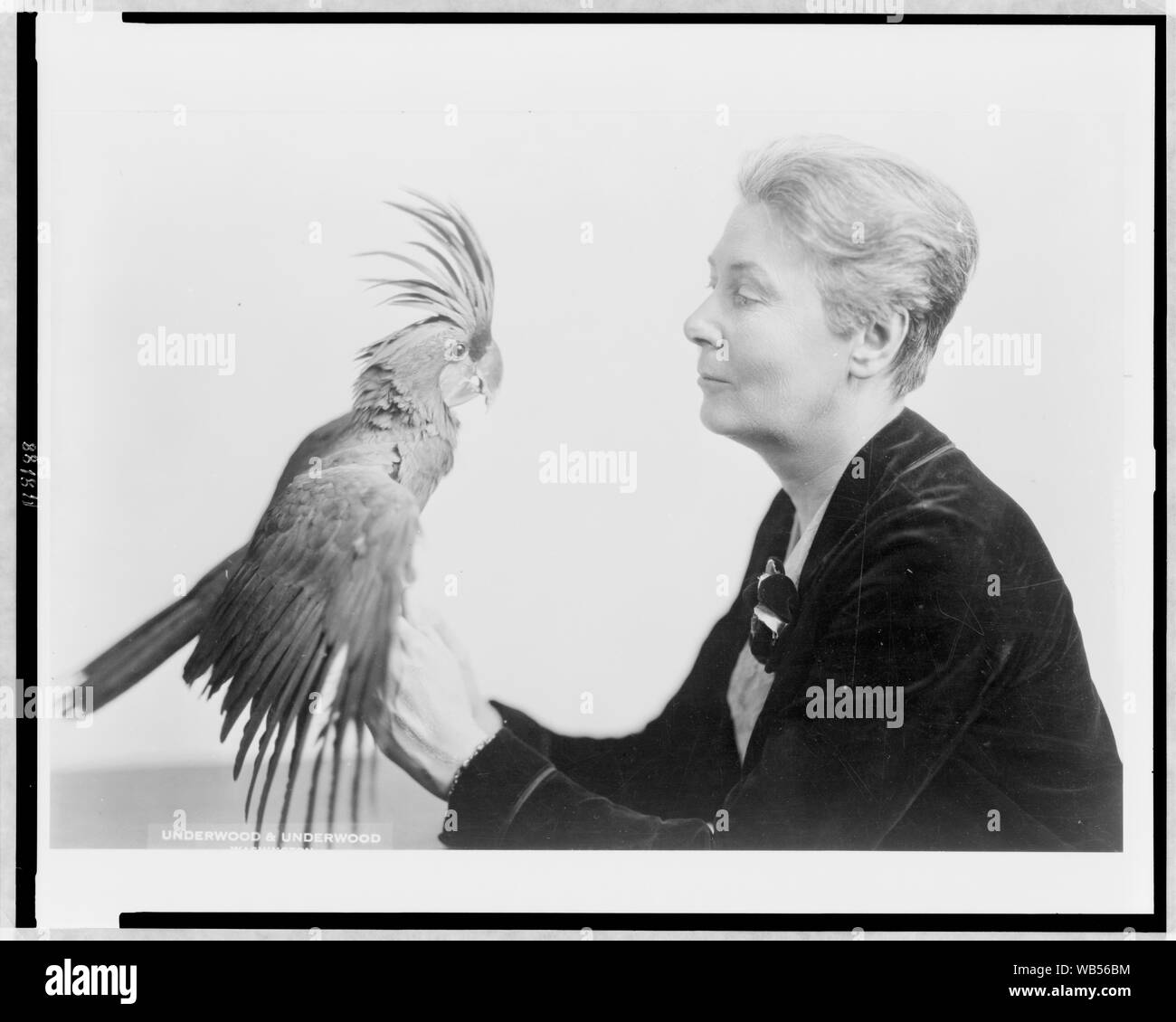 Title - Winsome Washington woman has rare parrot for pet / Underwood & Underwood, Washington. Summary - Miss Ellen La Motte (1873-1961), with her rare black cockatoo from New Guinea, half-length portrait, facing left. Stock Photo