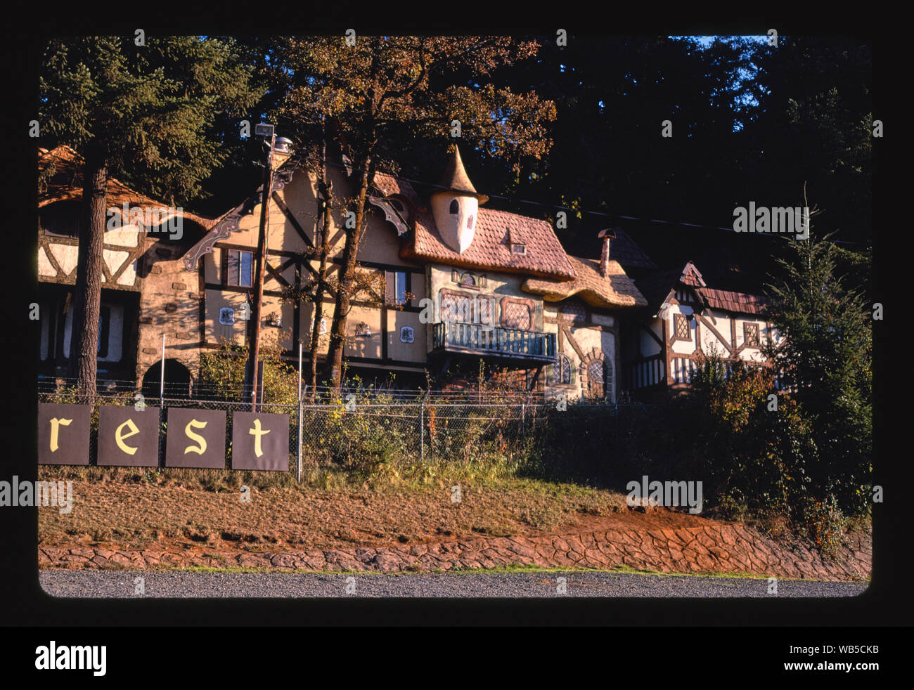 Enchanted Forest Turner Oregon Stock Photo Alamy