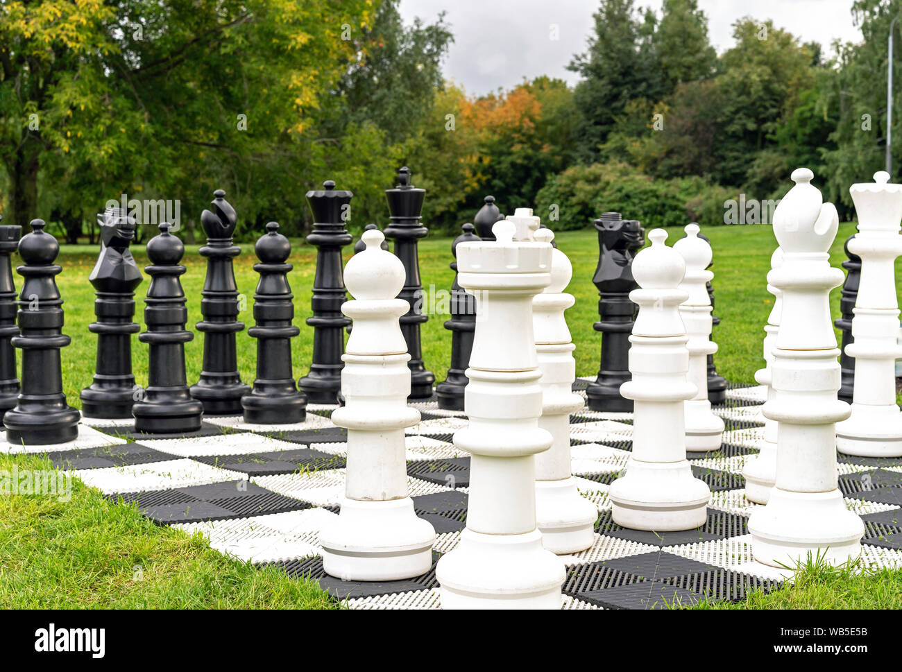 Giant chess pieces on a background of nature Stock Photo - Alamy