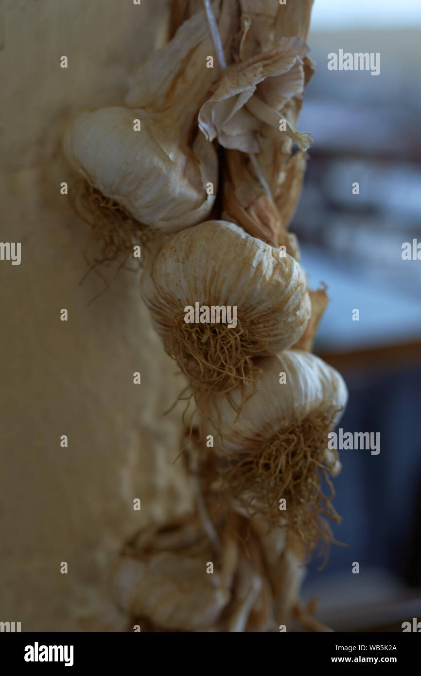 Garlic Cloves Hanging in Kassiopi, Corfu, Greece Stock Photo Alamy