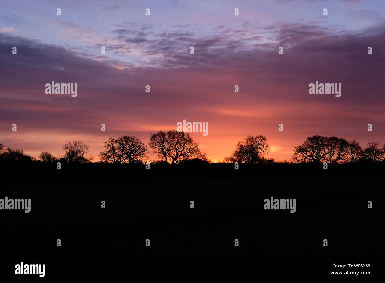 Sunrise Sky with silhouette of trees Stock Photo - Alamy