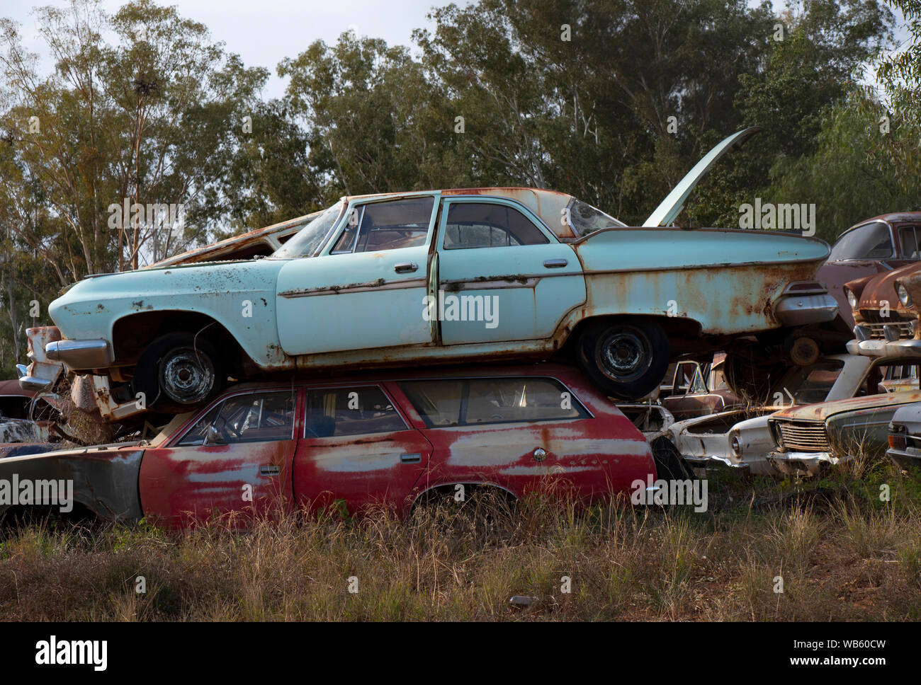 Rusty old cars from the 1950s and 1960s abandoned in a wrecking yard car graveyard in rural Australia. Stock Photo