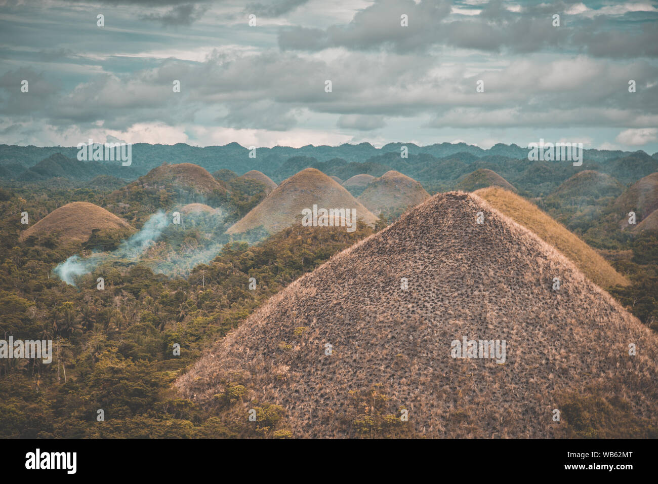 Bohol jungle, tarsier and chocolate hills, in Cebu, Philippines Stock