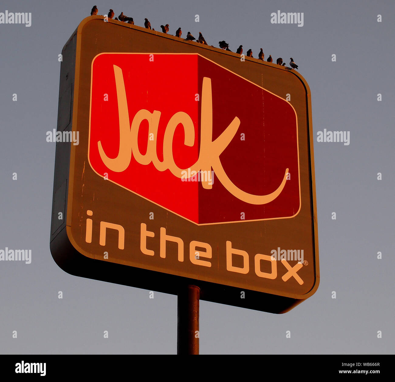 pigeons on a Jack in the Box fast food restaurant sign along Interstate 5, California Stock Photo