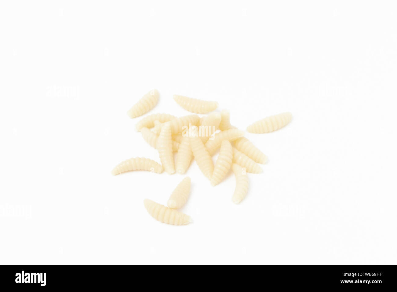 Artificial fishing larvae of insects on white background with soft shadow. Stock Photo