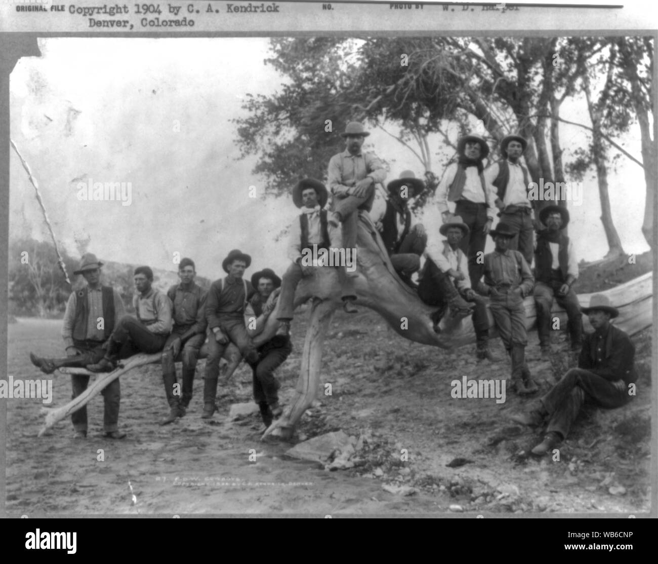 16 21 1 cm Black and White Stock Photos & Images - Alamy