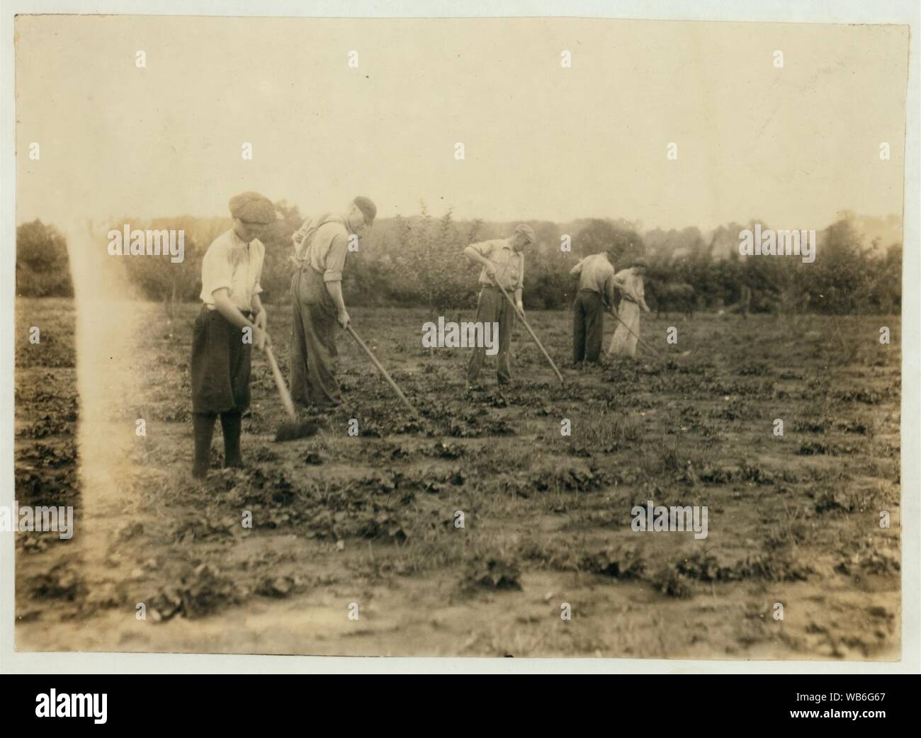 Edgar Kitchen 13 Yrs Old Gets 3 25 A Week For Working For The Bingham Bros Dairy Drives Dairy Wagon From 7 A M To Noon Works On Farm In Afternoon 10 Hours A