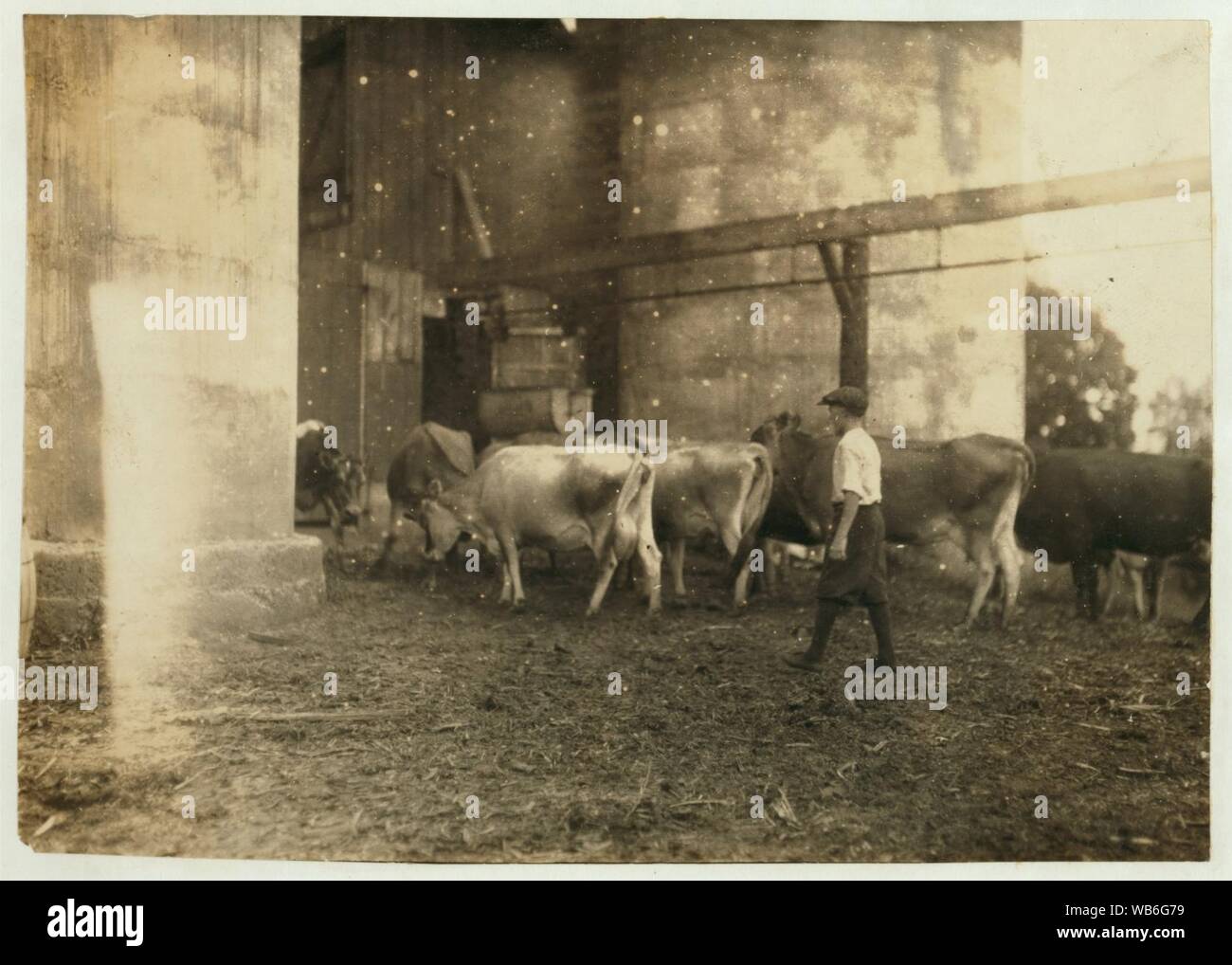 Edgar Kitchen 13 Yrs Old Gets 3 25 A Week Working For The Bingham Bros Dairy Drives A Dairy Wagon From 7 A M To Noon Works On Farm In Afternoon 10 Hours A Edgar Kitchen 13 Yrs Old Gets 3 25 A Week Working For The Bingham Bros Dairy Drives A Dairy Wagon From 7 A M To Noon Works On Farm In Afternoon 10 Hours A