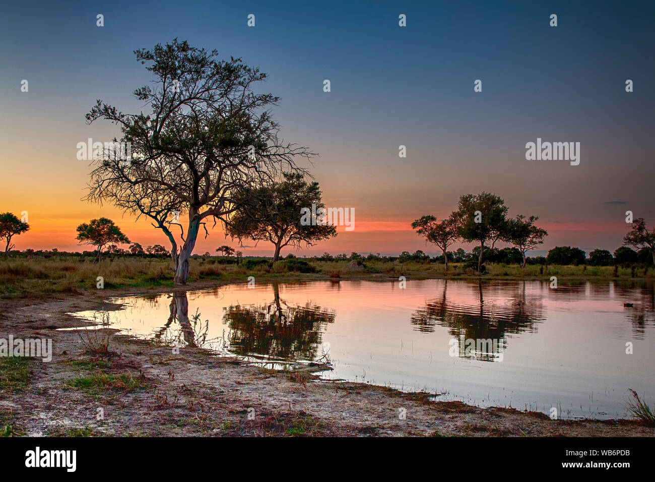 Sunset over a water hole in the Okavango Delta region of Botswana, Africa. African sunsets have to be seen to be believed! Stock Photo