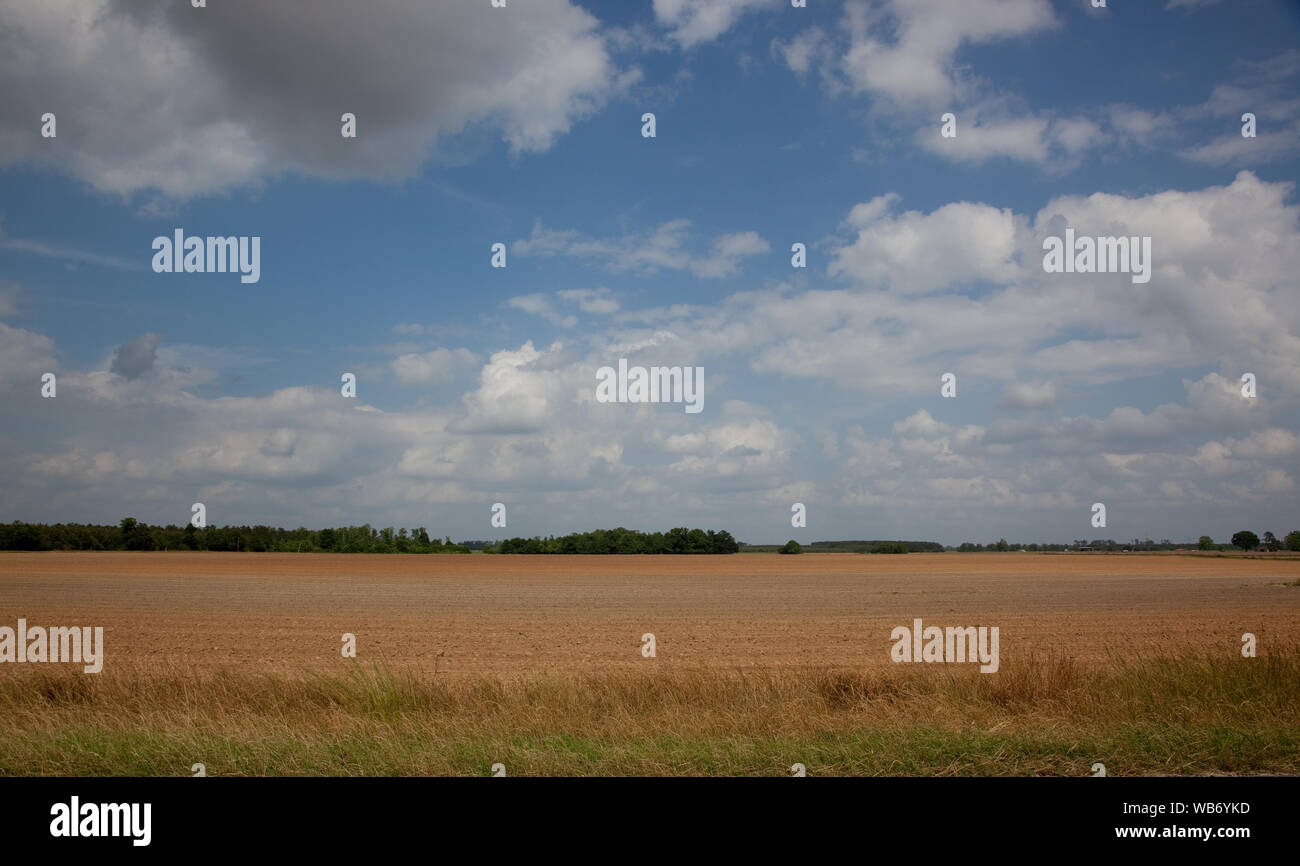 Farmland in Monroe County, Alabama Stock Photo