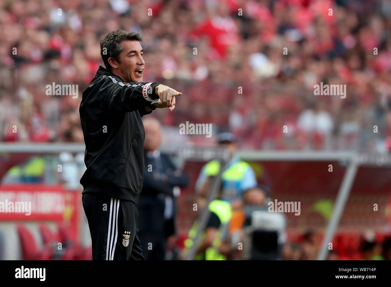 Bruno Lage Wallpaper - Bruno Lage Photos And Premium High Res Pictures Getty Images : Search, discover and share your favorite bruno lage gifs.