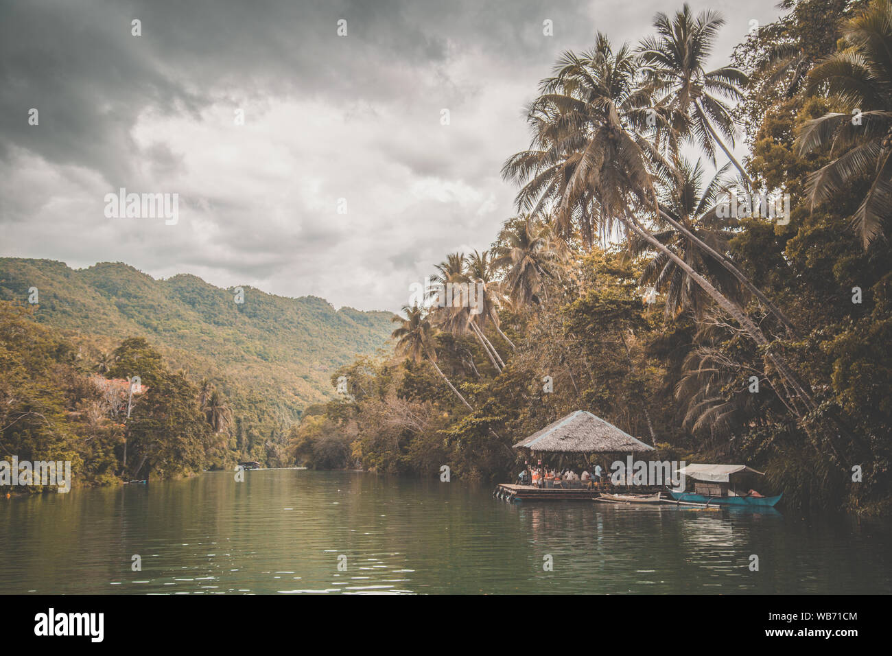 Bohol jungle, tarsier and chocolate hills, in Cebu, Philippines Stock ...