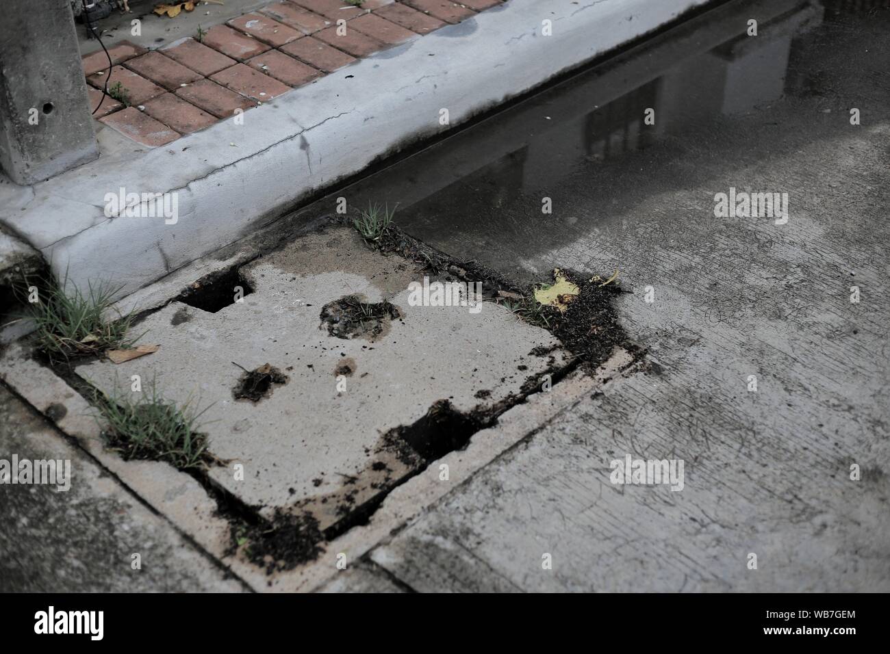 dirt filled concrete grating on a manhole gutter cover. bad condition infrastructure with weed growing on. catch basin on concrete road. Stock Photo