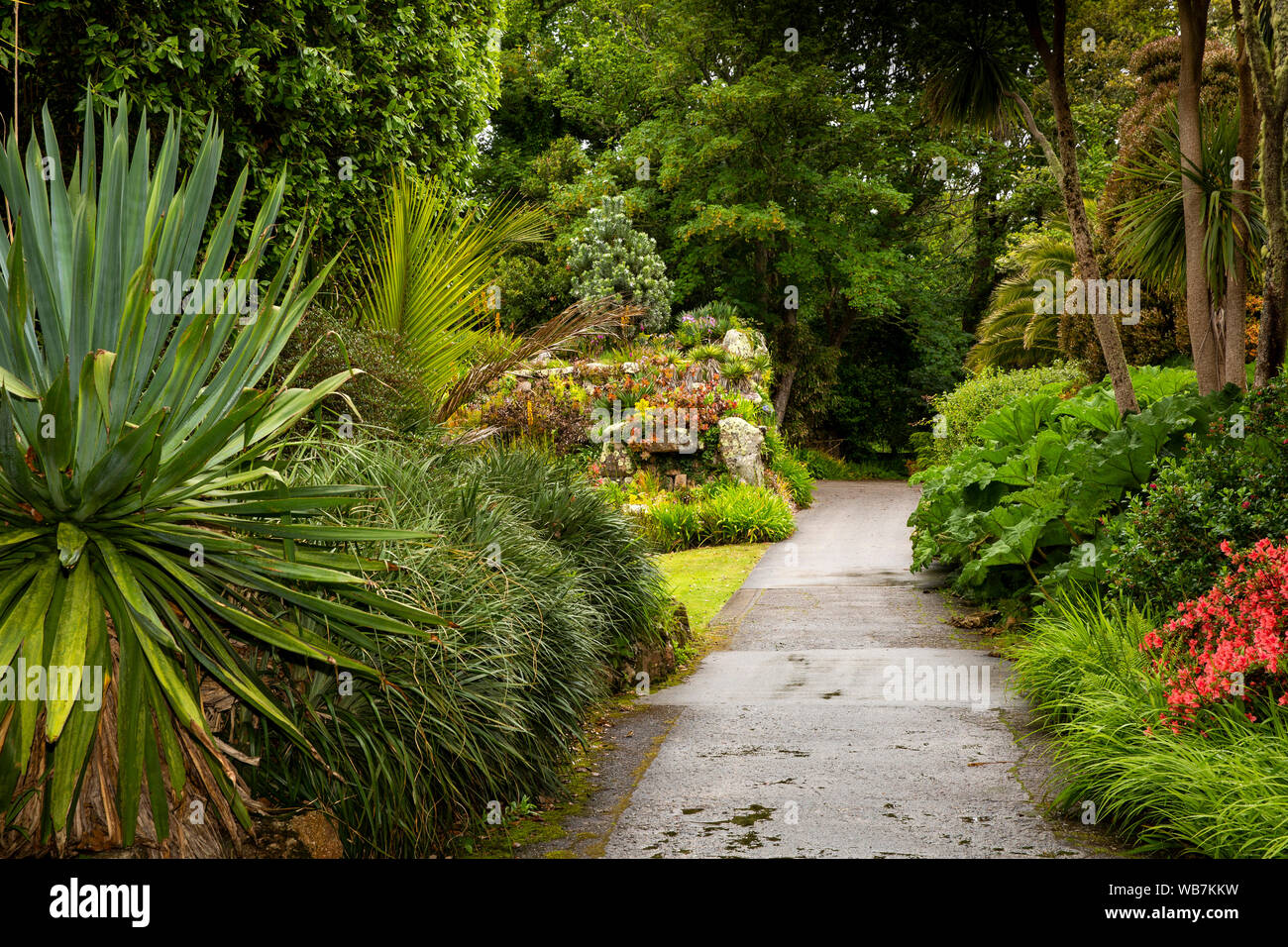 UK, England, Scilly Islands, Tresco, public footpath through grounds of the Abbey, private home beside gardens Stock Photo