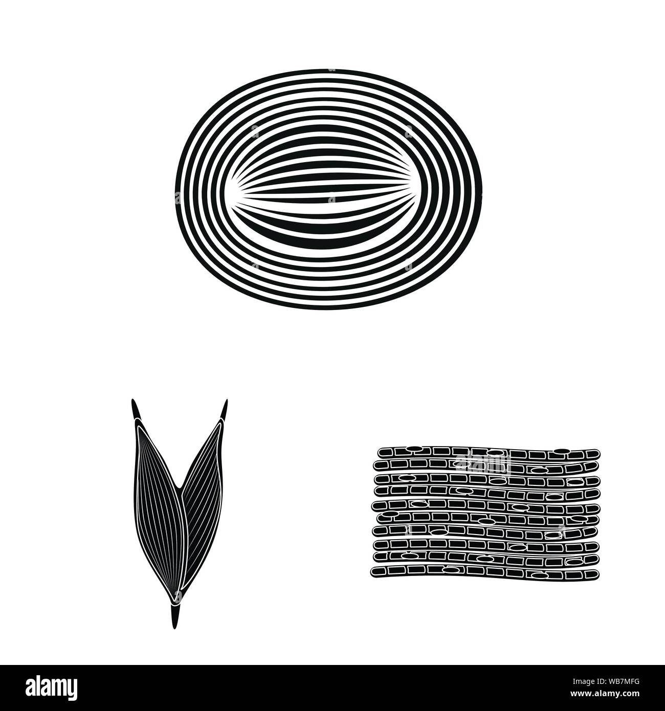 Vector illustration of human and body logo. Collection of human and ...