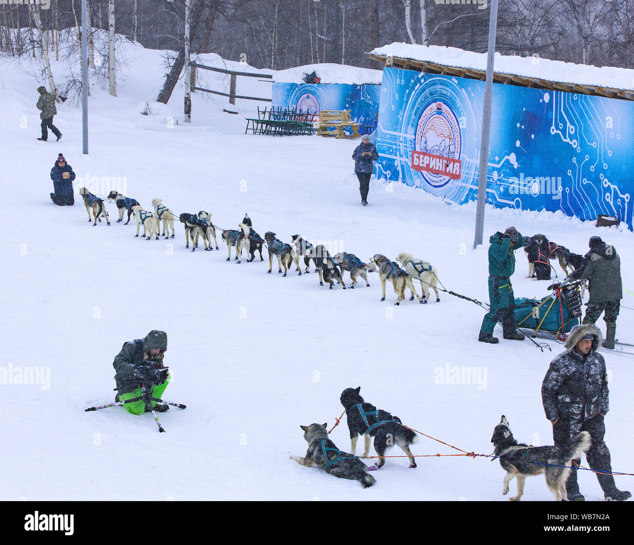 Team Racing Beringa Beringia people hi-res stock photography and images - Alamy