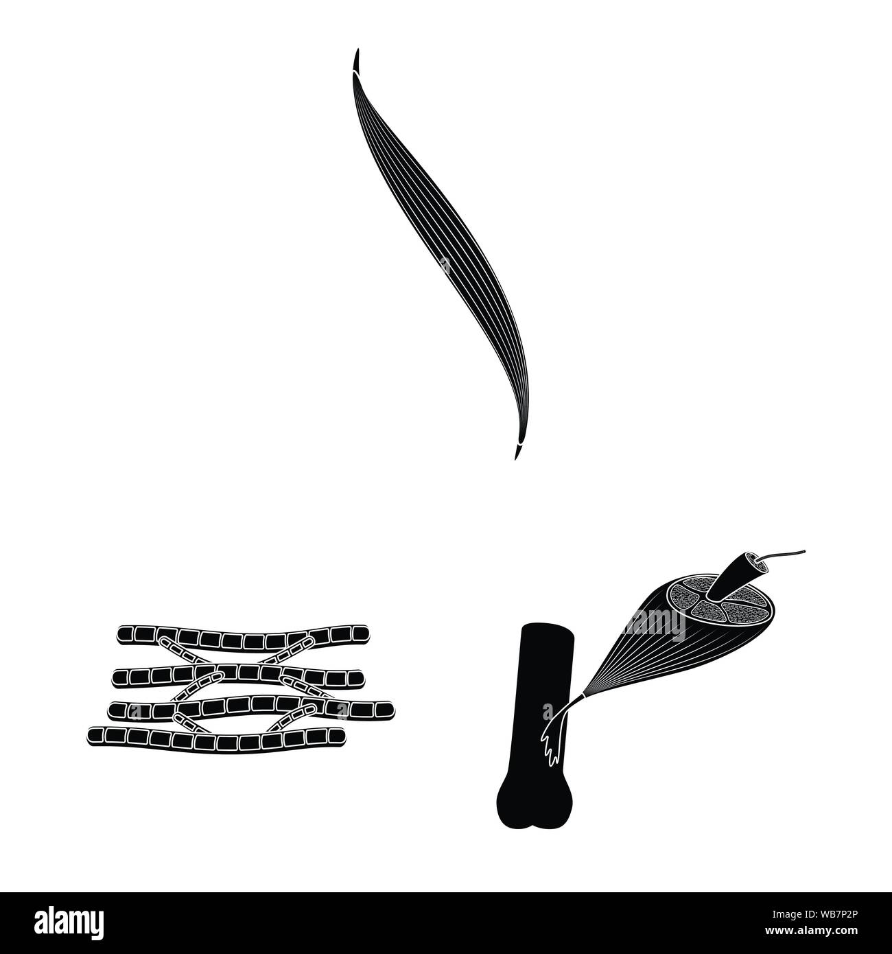 Vector design of human and body logo. Set of human and cells stock ...