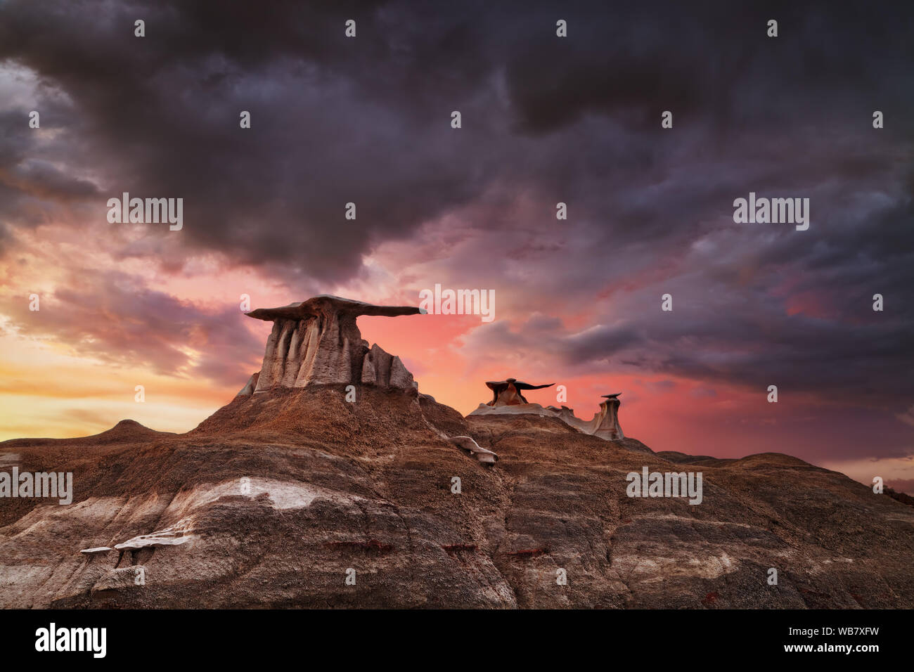 Stone Wings, bizarre rock formations in Bisti Badlands, New Mexico, USA Stock Photo
