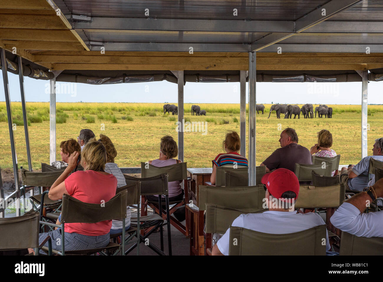 Tourists in a boat observe elephants along the Chobe River, Botswana, Africa Stock Photo