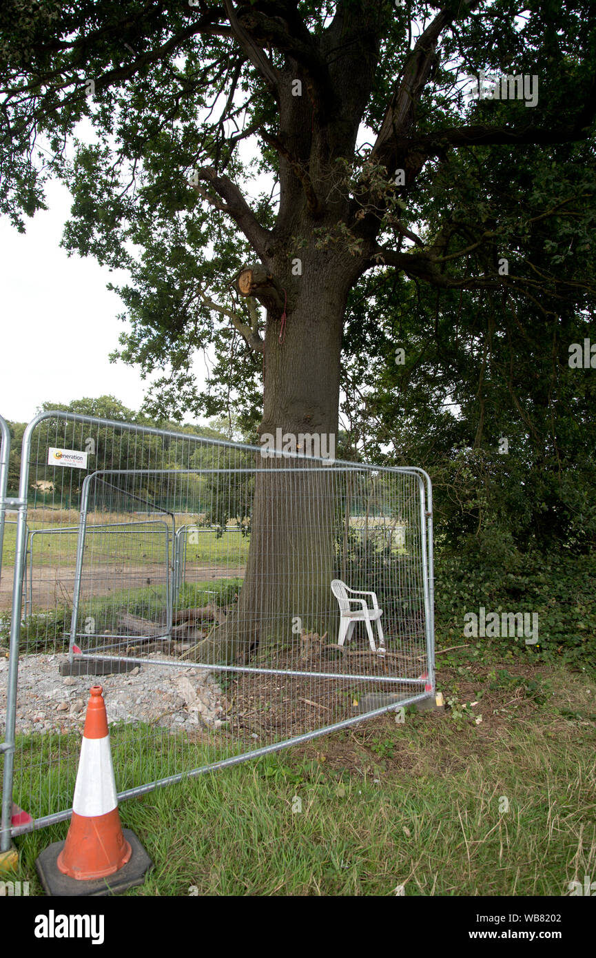 Cutting down oak tree hires stock photography and images Alamy
