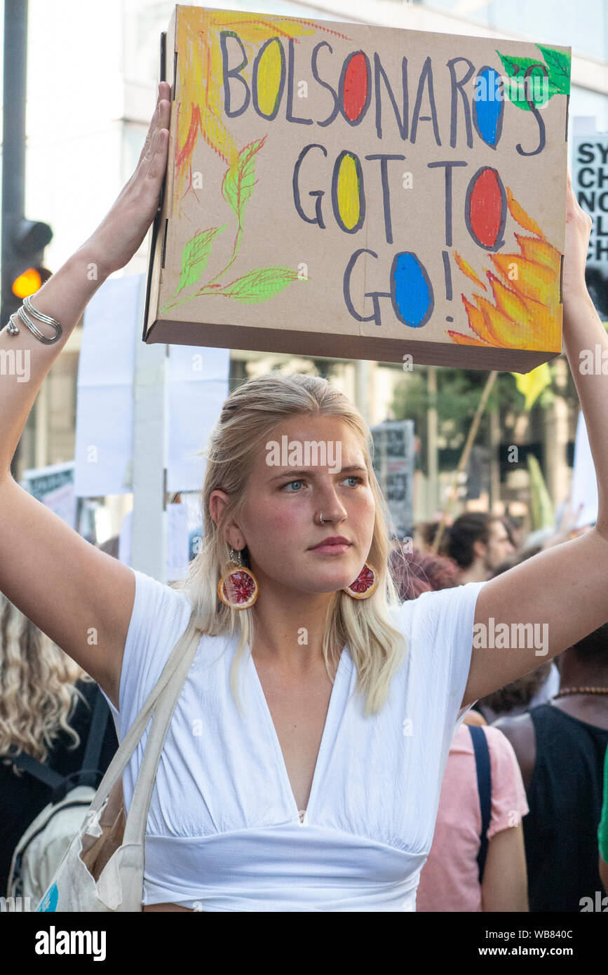 London, England, UK 23rd August 2019. Environmental activists gather at the Brazilian  Embassy to protest at the burning of the rainforests Stock Photo