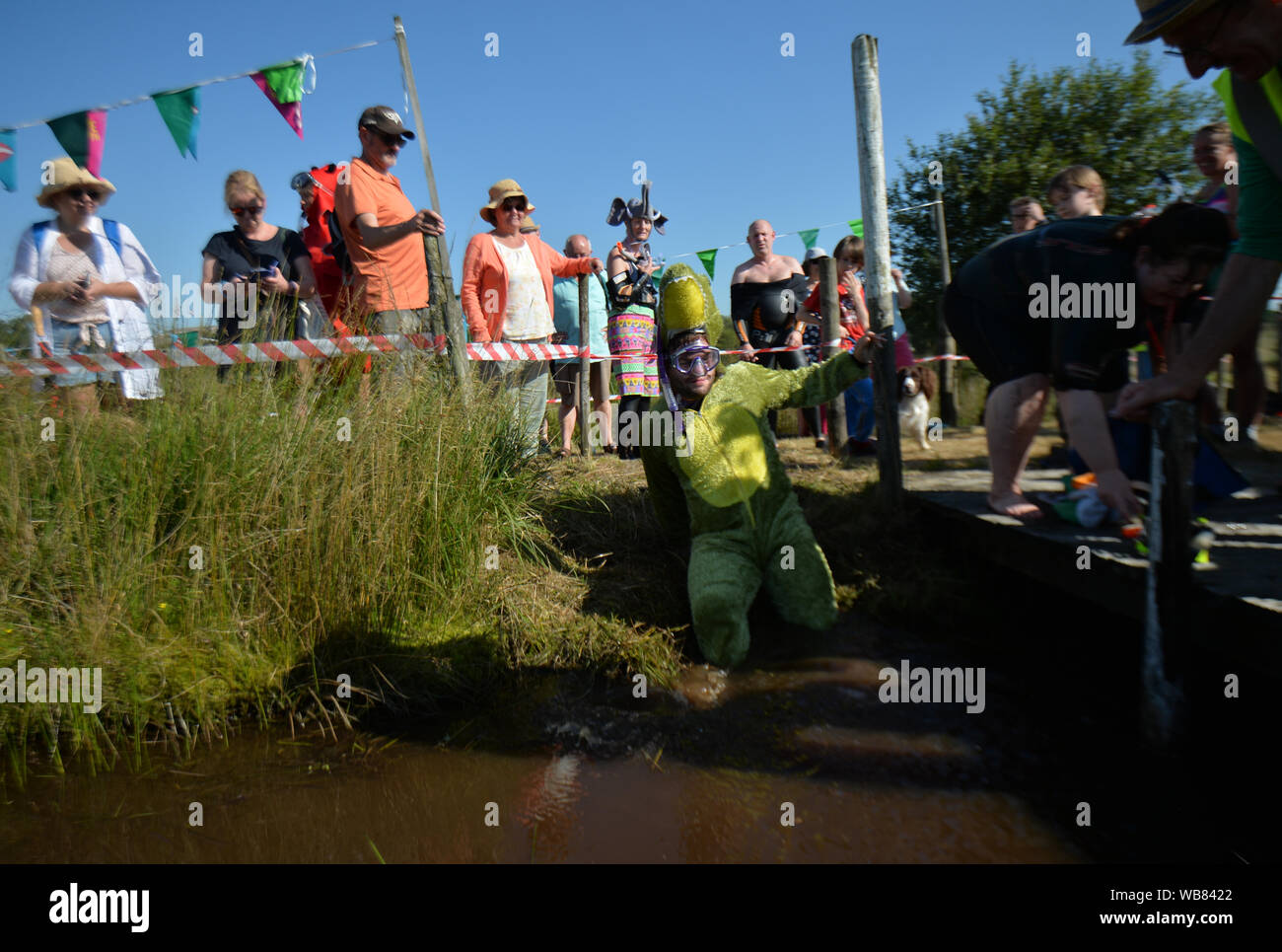 A competitor takes part in the World Bog Snorkelling Championships at Waen Rhydd peat bog in Llanwrtyd Wells, Wales. Stock Photo